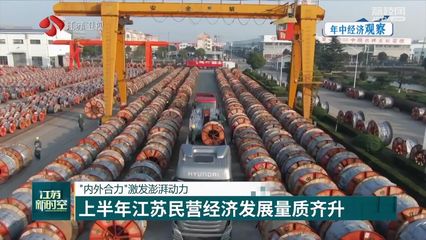 【年中经济观察】"内外合力"激发澎湃动力 上半年江苏民营经济发展量质齐升