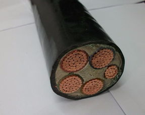 新民橡套电缆哪家好